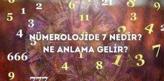 Nümerolojide 7 (Yedi) Ne Demek? Nümerolojide 7 (Yedi) Ne Demek