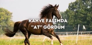 Kahve Falında At Görmek Ne Anlama Gelir? Kahve Falında At Görmek Ne Anlama Gelir