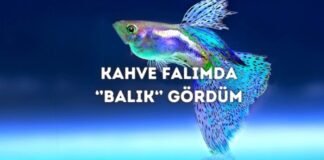 Kahve Falında Balık Görmek Ne Anlama Gelir? Kahve Falında Balık Görmek Ne Anlama Gelir