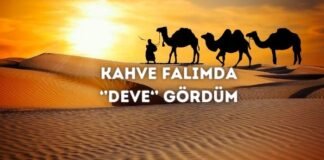 Kahve Falında Deve Görmek Ne Anlama Gelir? Kahve Falında Deve Görmek Ne Anlama Gelir