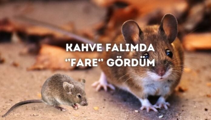 Kahve Falında Fare Görmek Ne Anlama Gelir Kahve Falında Fare Görmek Ne Anlama Gelir