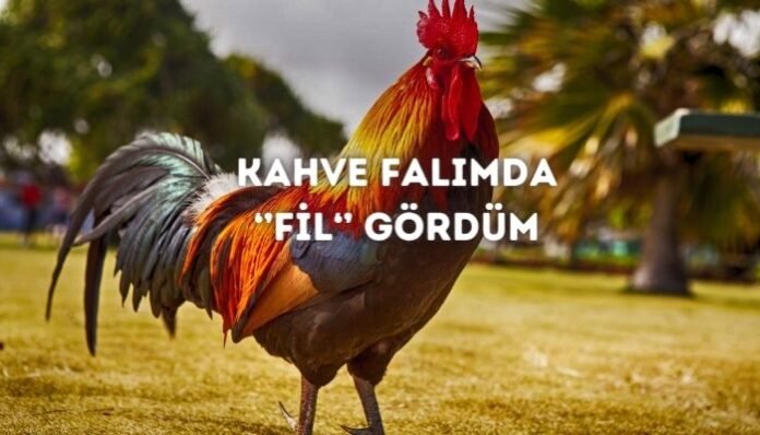 Kahve Falında Horoz Görmek Ne Anlama Gelir Kahve Falında Horoz Görmek Ne Anlama Gelir
