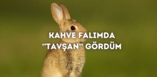 Kahve Falında Tavşan Görmek Ne Anlama Gelir? Kahve Falında Tavşan Görmek Ne Anlama Gelir