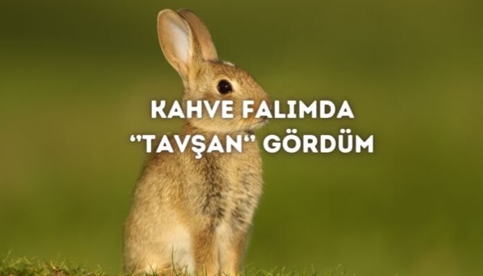 Kahve Falında Tavşan Görmek Ne Anlama Gelir Kahve Falında Tavşan Görmek Ne Anlama Gelir