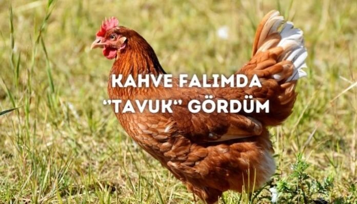 Kahve Falında Tavuk Görmek Ne Anlama Gelir Kahve Falında Tavuk Görmek Ne Anlama Gelir