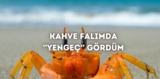 Kahve Falında Yengeç Görmek Ne Anlama Gelir? Kahve Falında Yengeç Görmek Ne Anlama Gelir