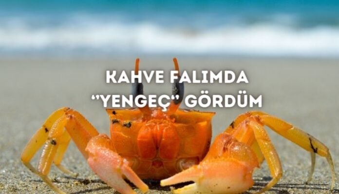 Kahve Falında Yengeç Görmek Ne Anlama Gelir Kahve Falında Yengeç Görmek Ne Anlama Gelir