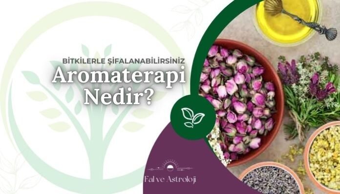 Aromaterapi Nedir Bitkisel Şifa Yöntemi