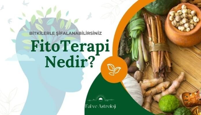 Fitoterapi Nedir Bitkisel Şifa Yöntemi