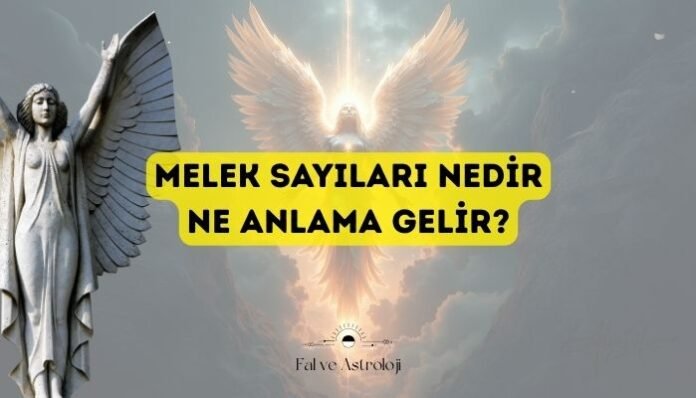 Melek Sayıları Nedir ve Ne Anlama Gelir Melek Sayıları Nedir ve Ne Anlama Gelir