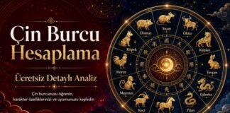 Çin Burcu Hesaplama – Ücretsiz Detaylı Analiz Çin Burcu Hesaplama – Ücretsiz Detaylı Analiz