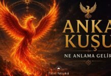 Anka Kuşu Ne Anlama Gelir? Anka Kuşu Ne Anlama Gelir