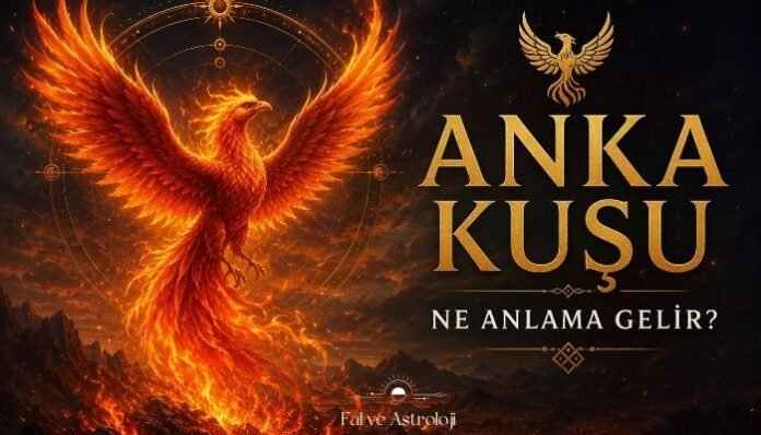 Anka Kuşu Ne Anlama Gelir Anka Kuşu Ne Anlama Gelir