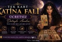 Tek Kart Katina Falı Ücretsiz Detaylı Analiz Tek Kart Katina Falı Ücretsiz Detaylı Analiz