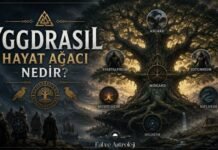 Yggdrasil Hayat Ağacı Nedir? Yggdrasil Hayat Ağacı Nedir